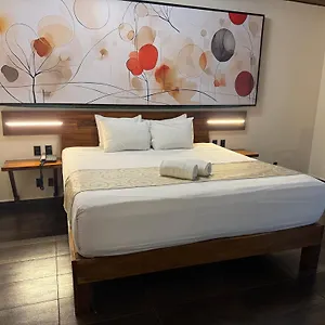 **** ホテル レイナ ローハ ホテル【大人専用】 メキシコ
